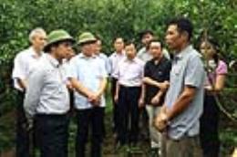 Phó Chủ tịch UBND tỉnh Đặng Huy Hậu kiểm tra chương trình xây dựng NTM tại Vân Đồn